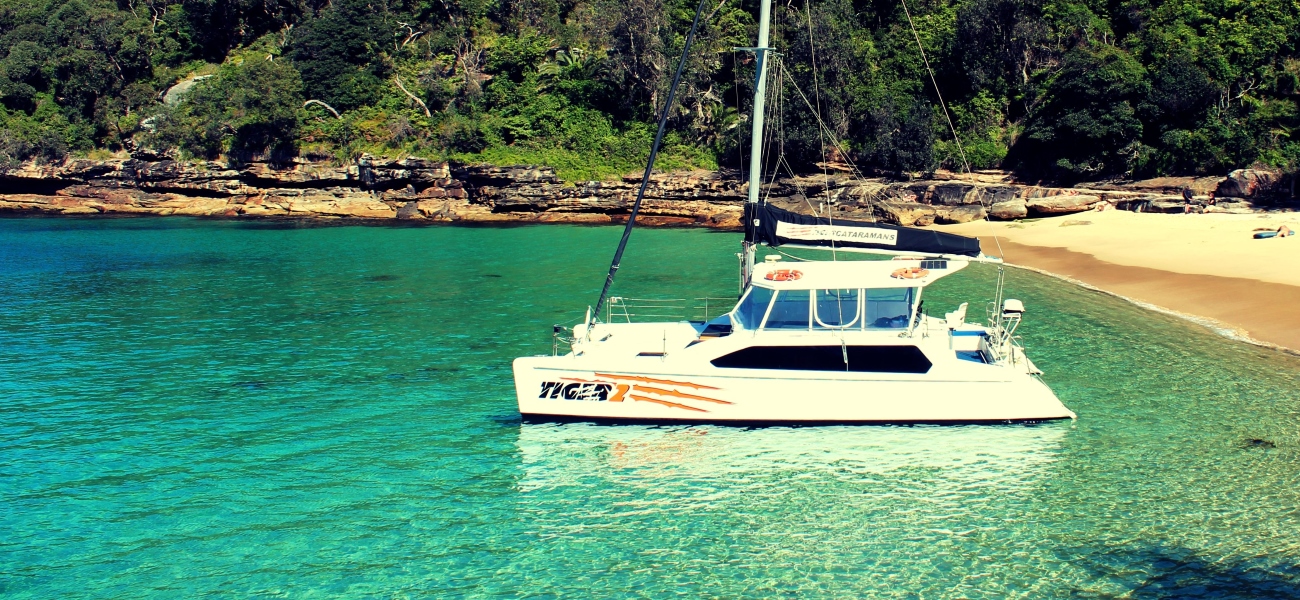 Seawind - Tiger 2 photo 4