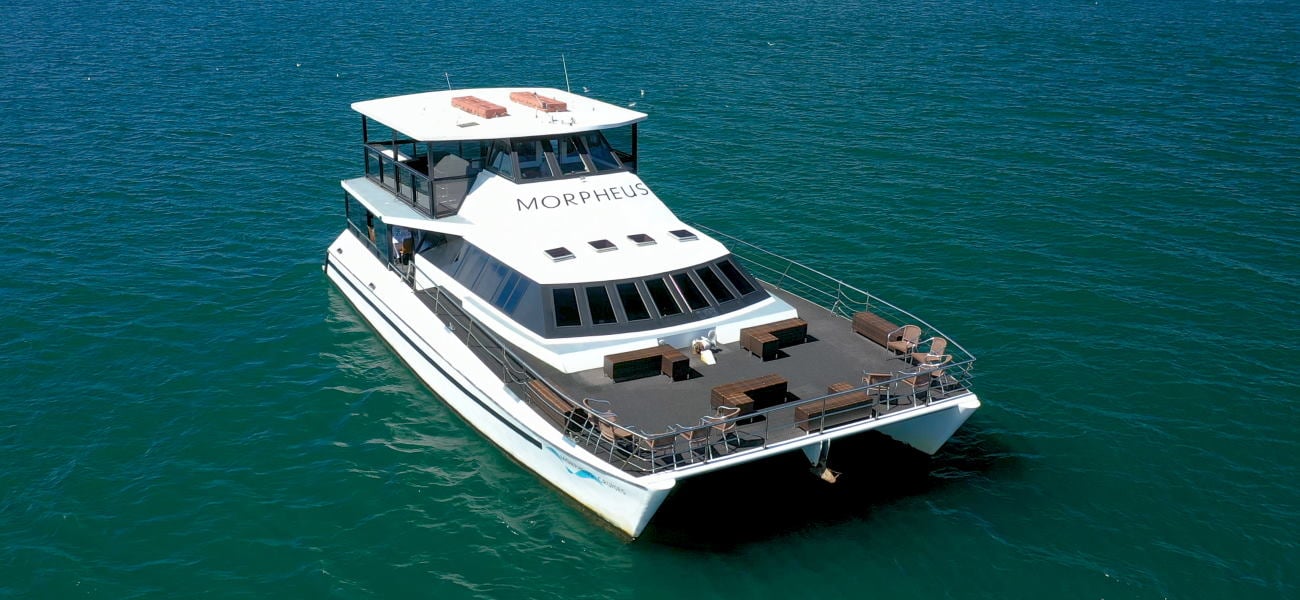 Morpheus photo 2