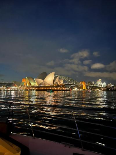 Sydney Seabird