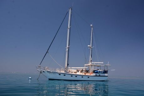 Sydney Sundancer