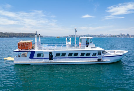 Bayrunner